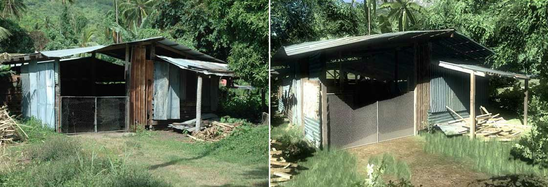 shed